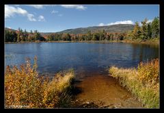 Lilly Pond