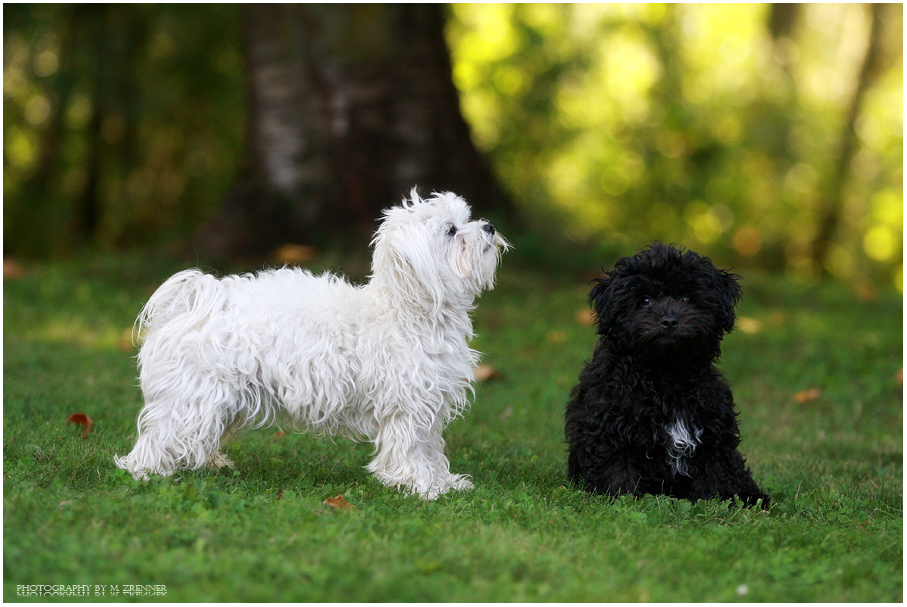 Lilly und Jimmy