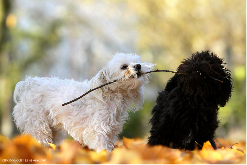 Lilly und Jimmy 2