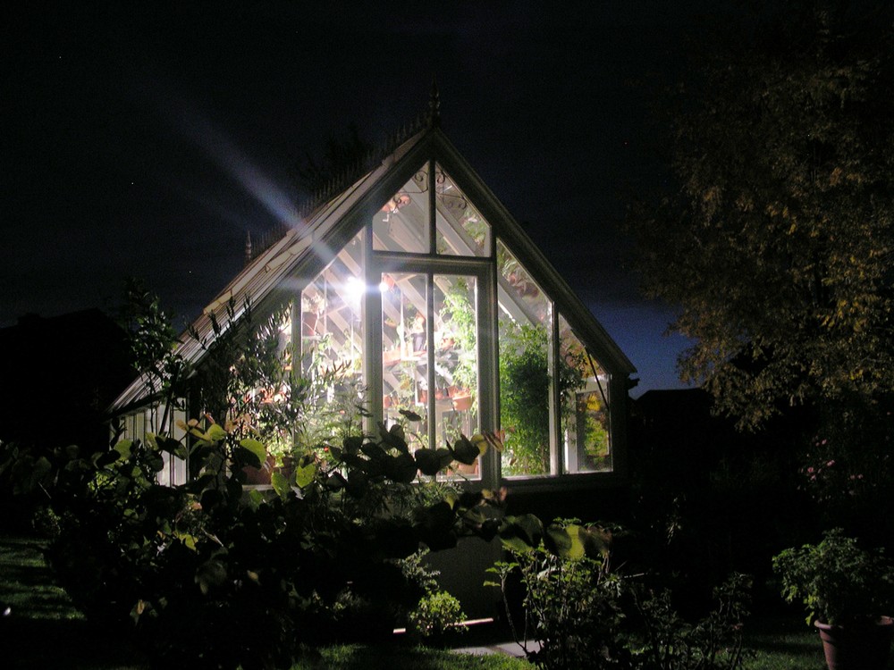 Lilttle Glasshouse by night