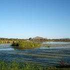 Lily Creek Lagoon