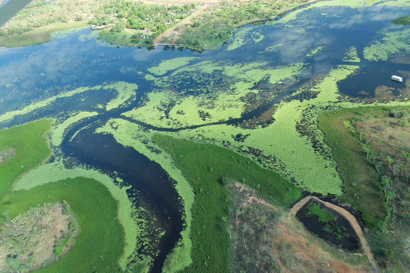 Lily Creek Lagoon