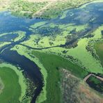 Lily Creek Lagoon