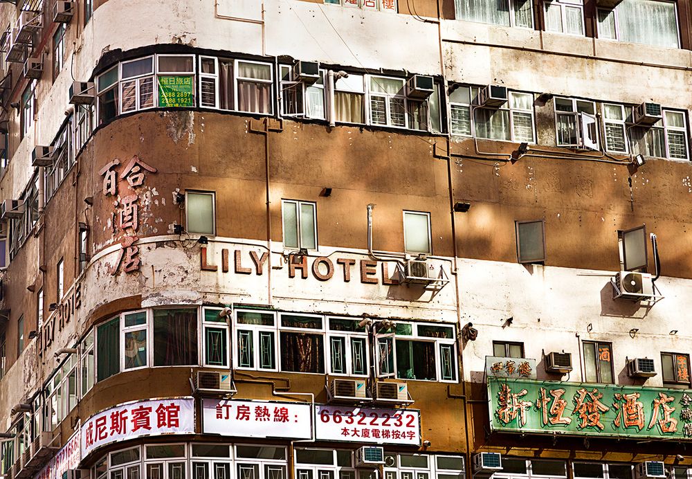 Lily Hotel