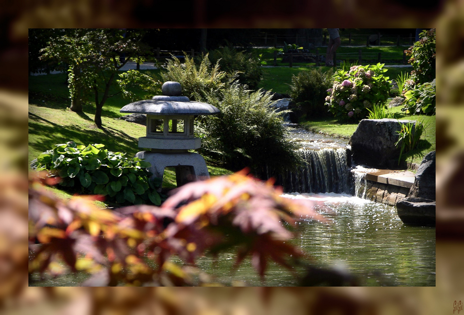 LIMBOURG - Hasselt (jardin japonais)