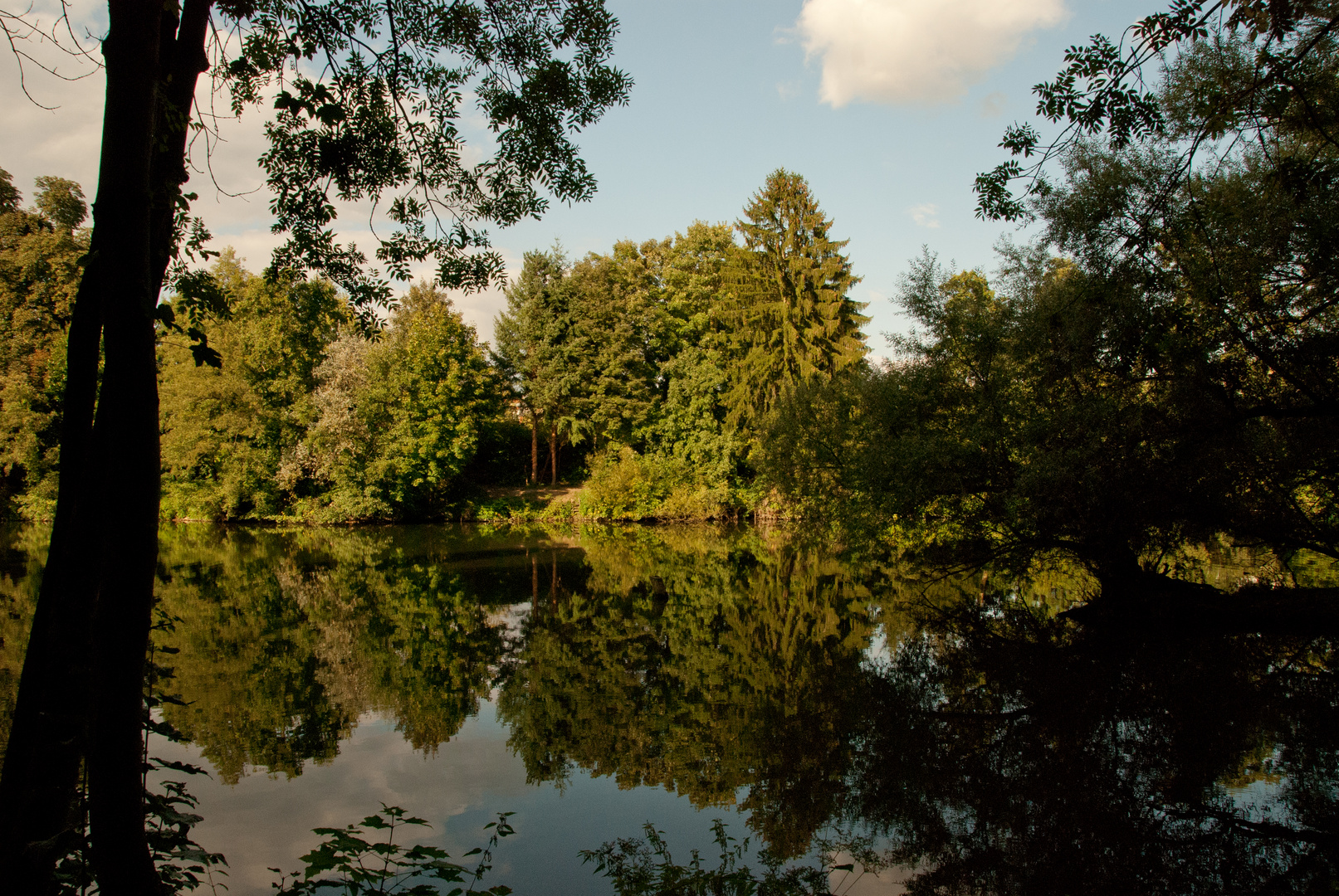 Limburg -2 (Spiegelung)