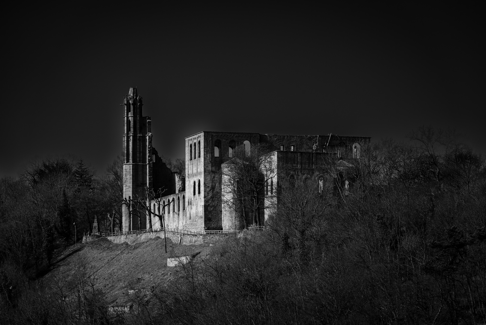 Limburg bei Bad Dürkheim 02 -sw