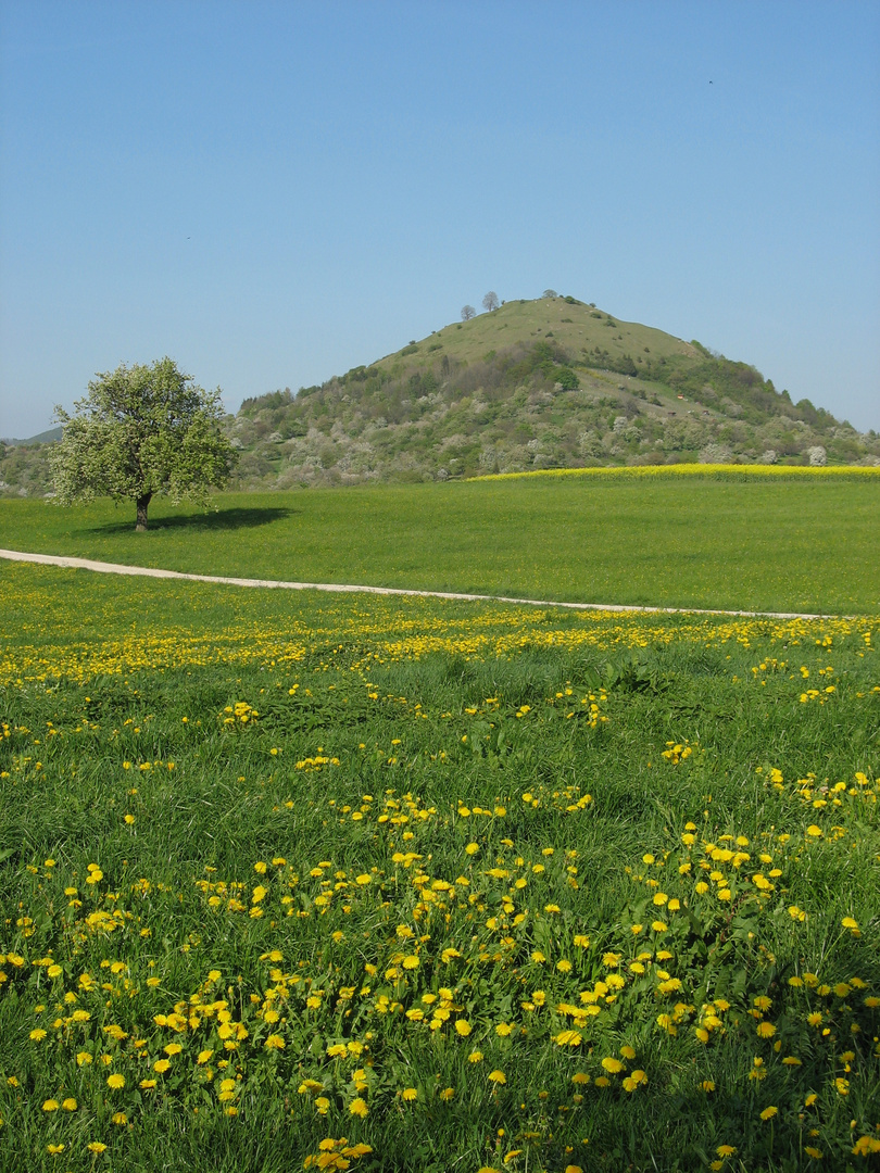 Limburg im Frühling