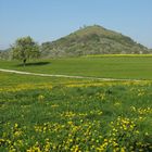 Limburg im Frühling