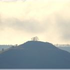 LIMBURG im Morgennebel