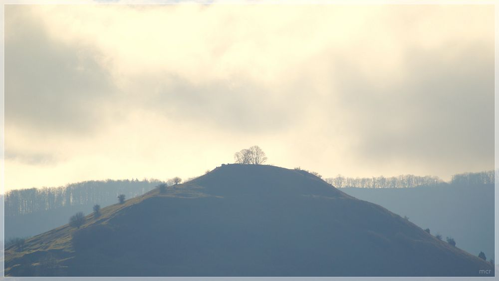 LIMBURG im Morgennebel