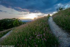 Limburg (Weilheim / Teck) im Juni