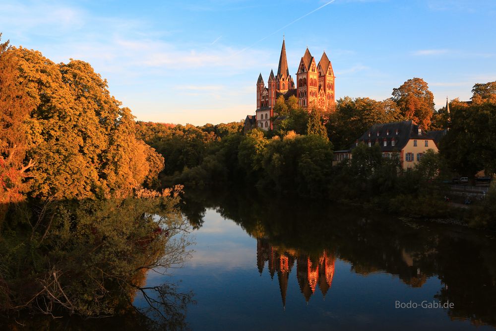 Limburg zur Seligsprechung