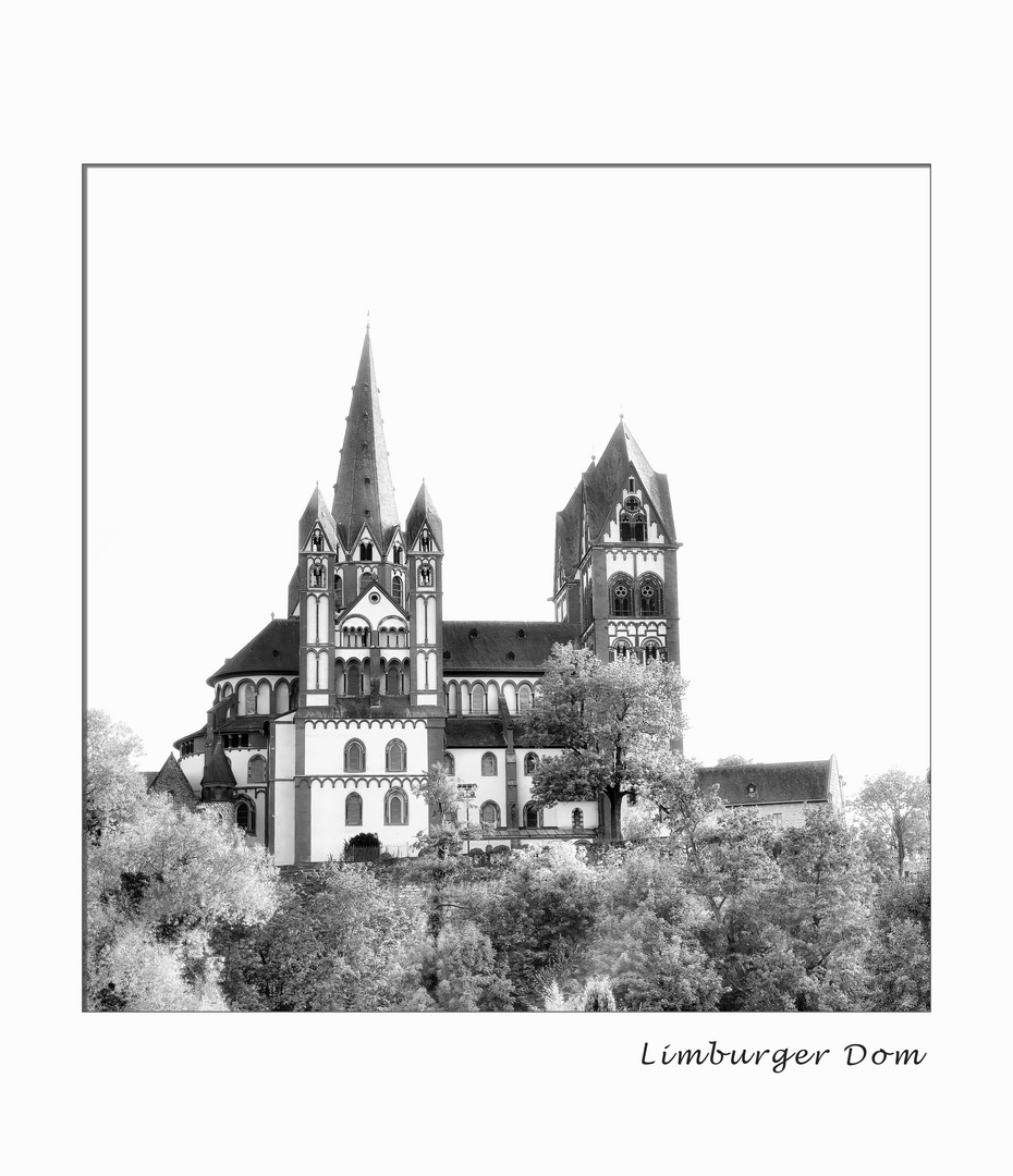 Limburger Dom 