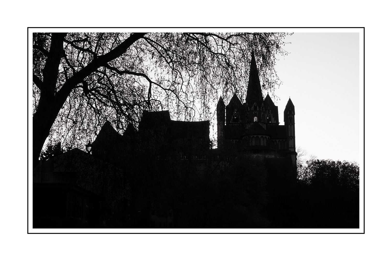 Limburger Dom im Gegenlicht