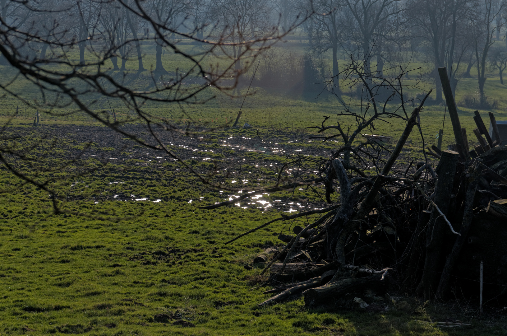 Limburger Heckenlandschaft (Wallonie)