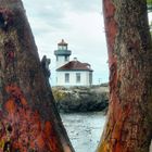 Lime Kiln Lighthouse 2