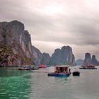 Lime stones at Ha Long Bay