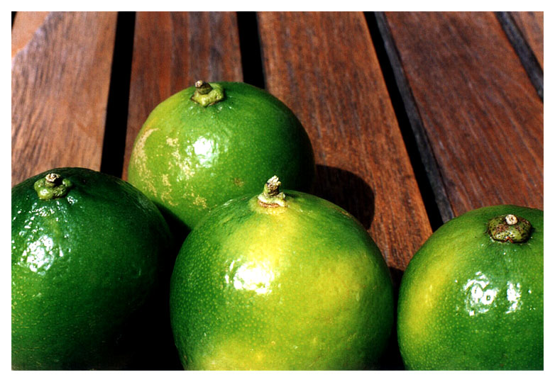 Limes (4)