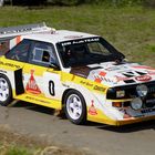 Limes Rally 2010 - Audi S1