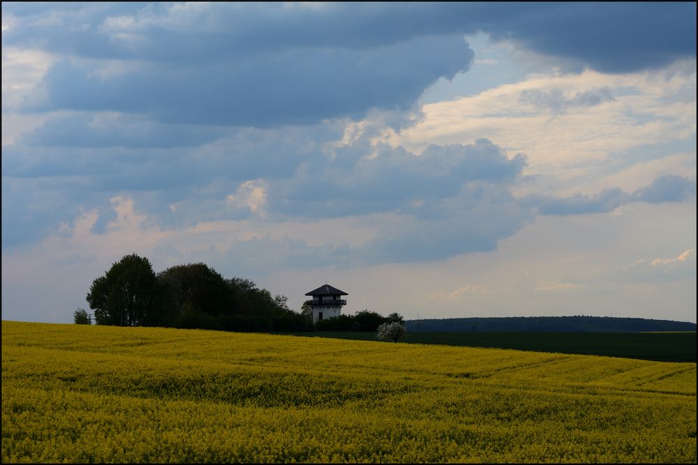 Limes-Turm im Raps