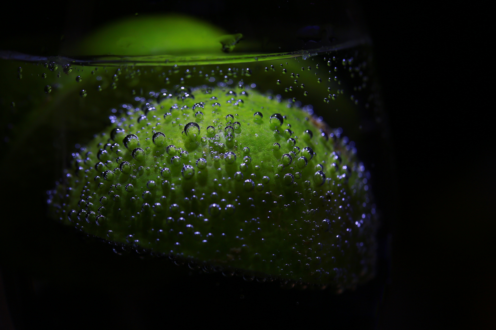 LIMETTE IM WASSERGLAS