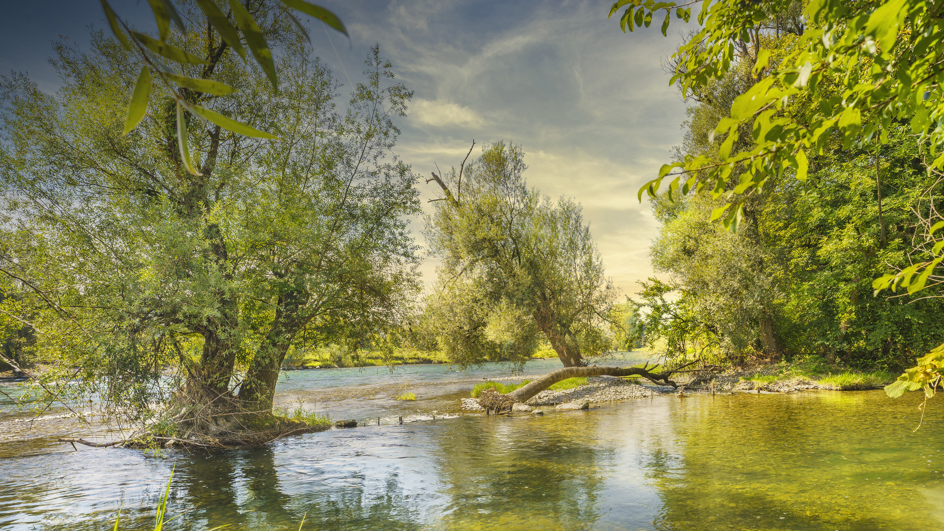 Limmat Flusslandschaft