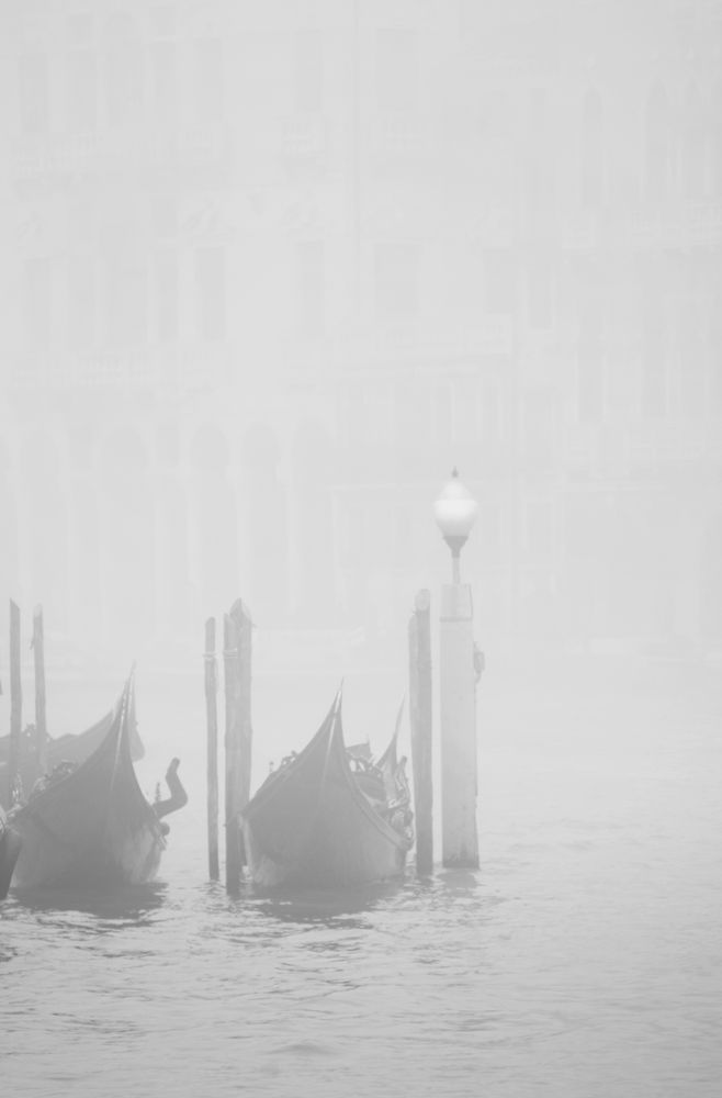 l'immensa e sottile calma  della nebbia