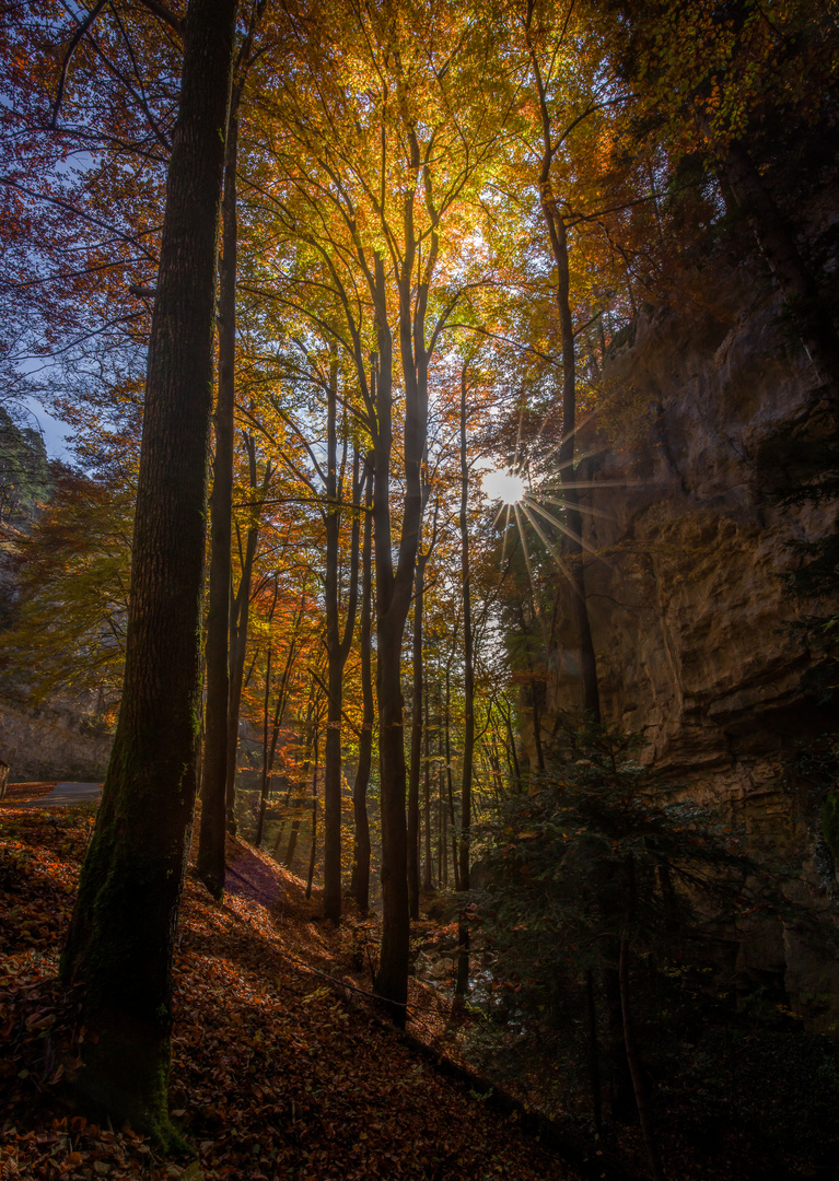 Limmerenschlucht