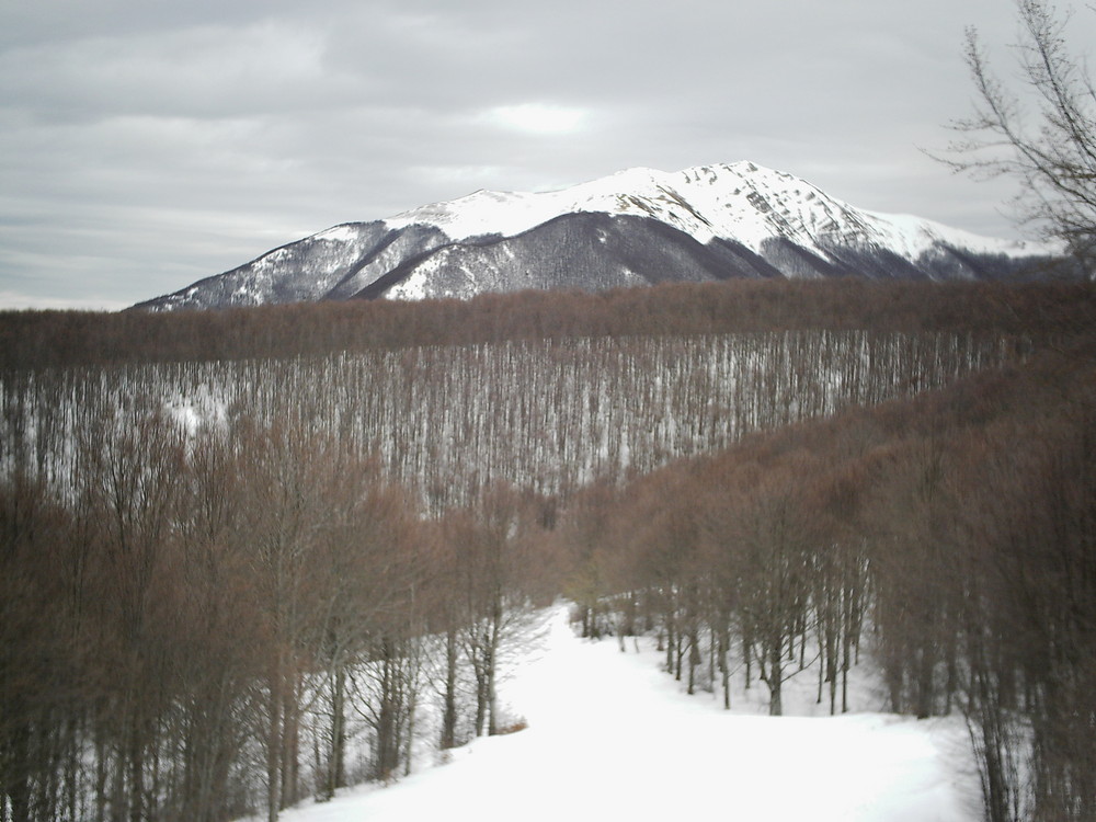 l'immobilità dell'inverno inoltrato