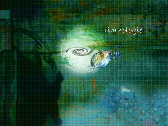 Limnologie