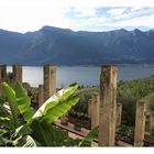 Limone-4