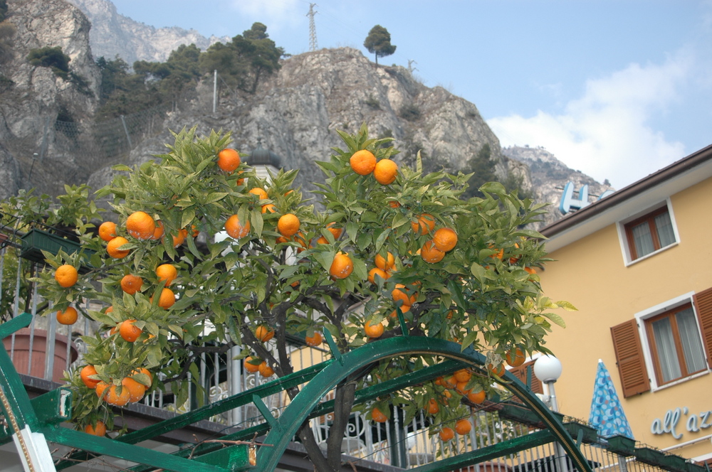 Limone am Gardasee