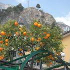 Limone am Gardasee