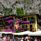 limone del garda 2