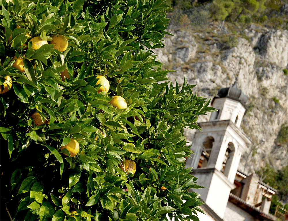 limone