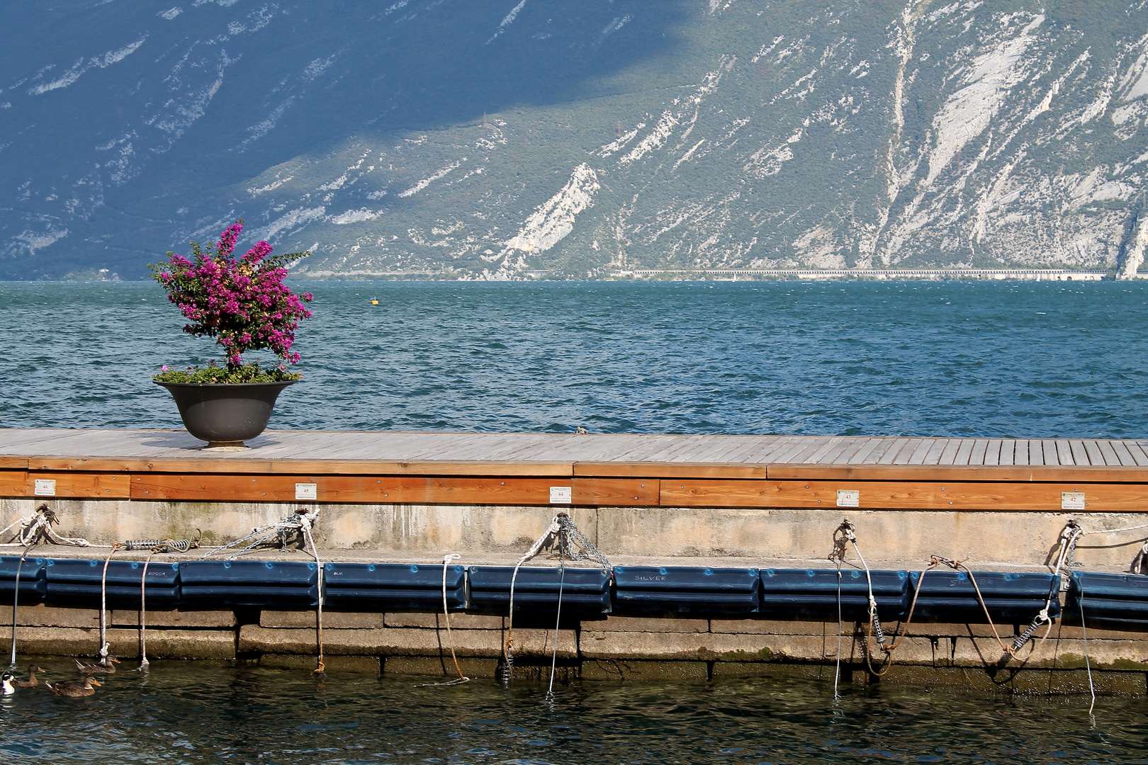 Limone sul garda