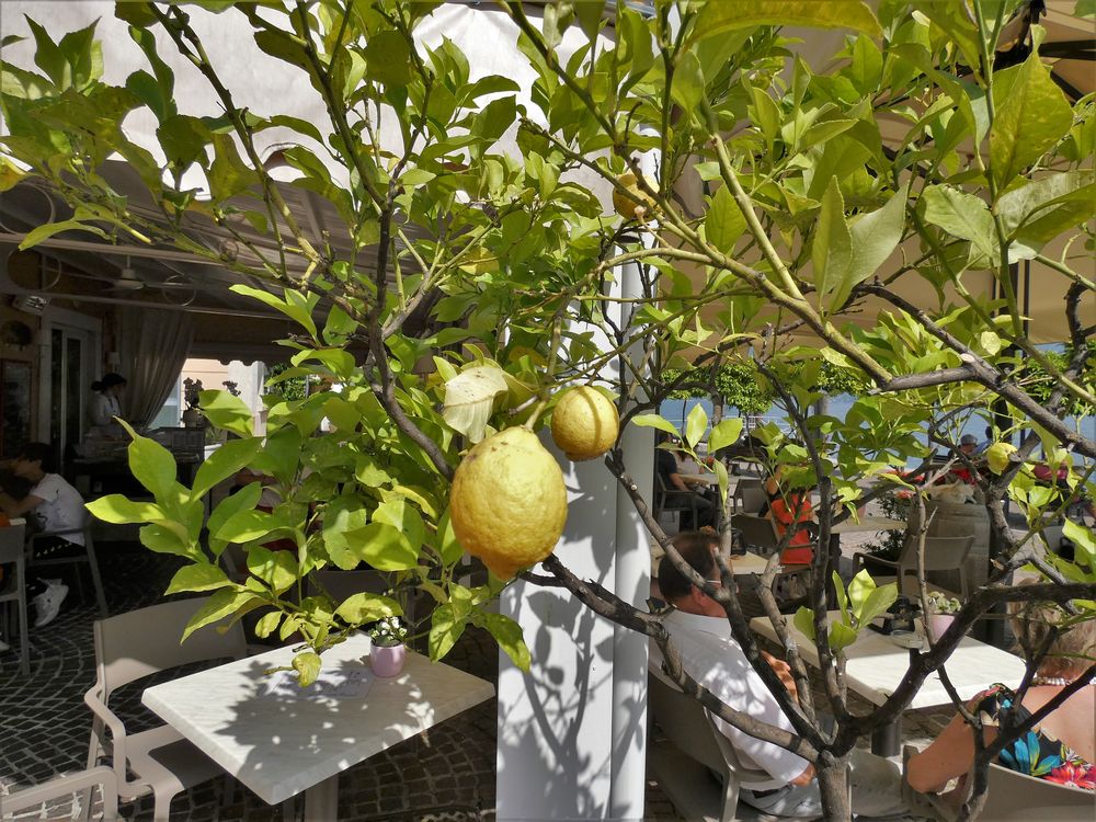 limone sul Garda