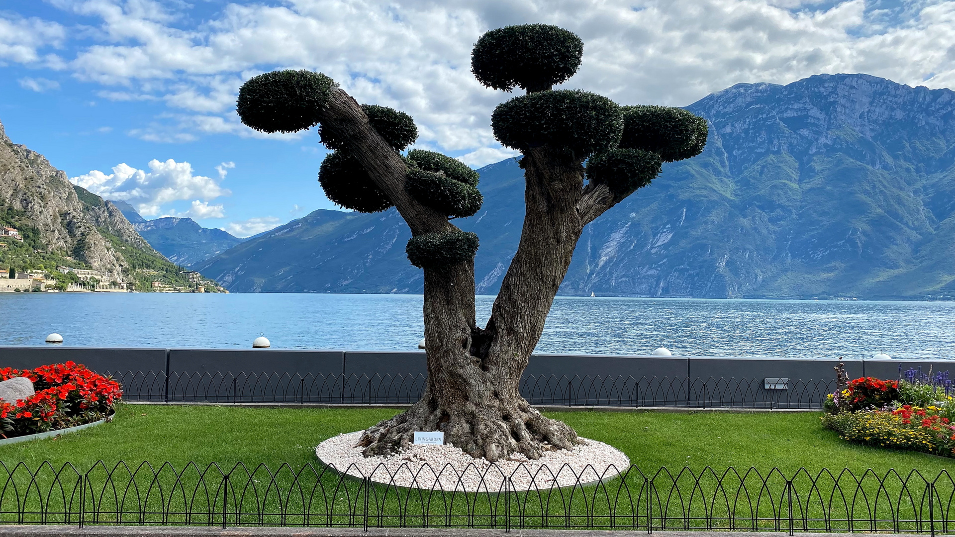 Limone sul Garda  V