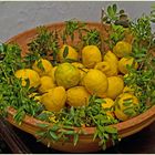 Limones