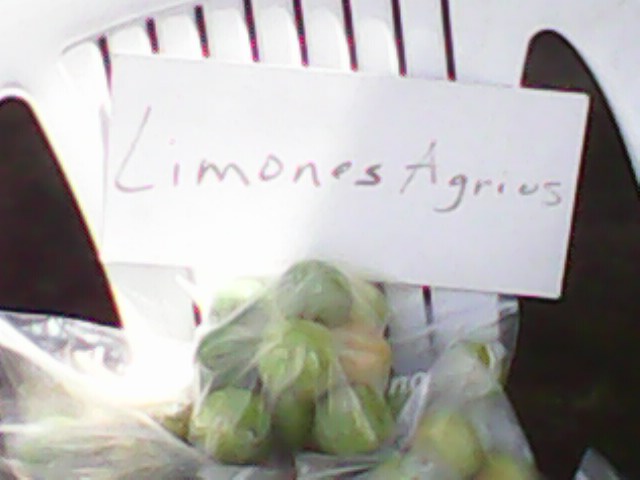 Limones agrios