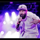 Limp Bizkit @ Rock The Ring 2015