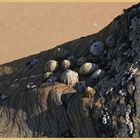 limpet mountain