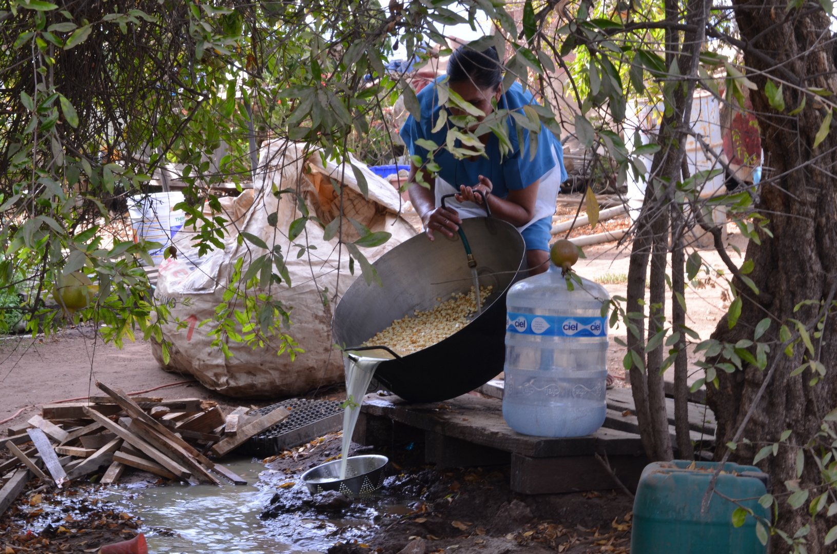 LIMPIANDO EL MAIZ PARA LAS TORTILLAS