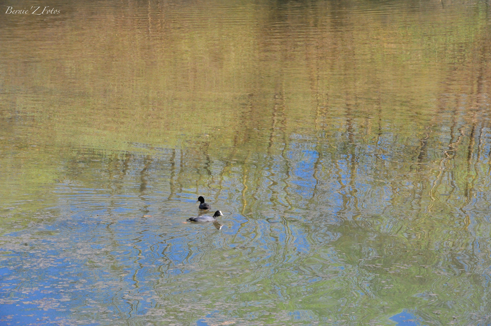 L'impressionisme par Bernie MONET