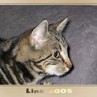 Lina 2005