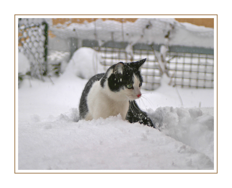 Lina im Schnee