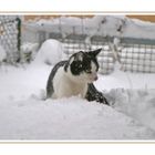 Lina im Schnee