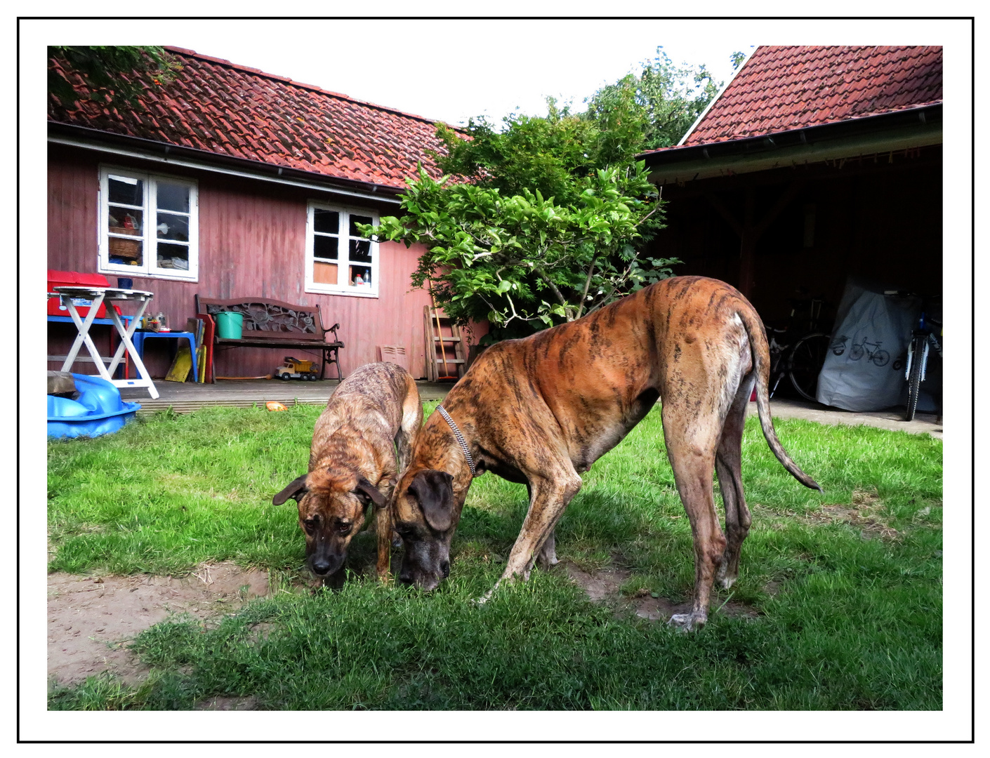 Lina und Henry am schnüffeln ... 