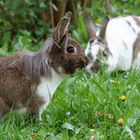 Lina und Timo